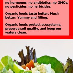 5 Reasons to Go Organic