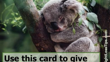 Free Nap Card Koala