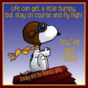 Snoopy Flies High