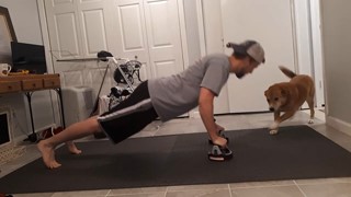 Exercise Fun: This Dog Loves This Man